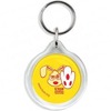 i1-keyring.jpg