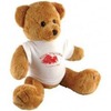 10-inch-robbie-bear-and-t-shirt.jpg